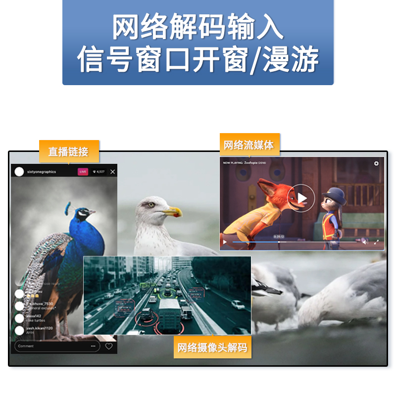 3.解码、开窗漫游.jpg